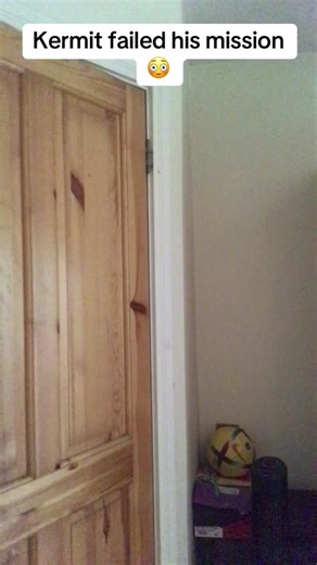 Fozzie Bear wad mad after what Kermit fried to do (Inspired by @Talon-Tal) #comedy #horror #funny #pmeskell #kermitthefrog #fozziebear #voiceimpressions