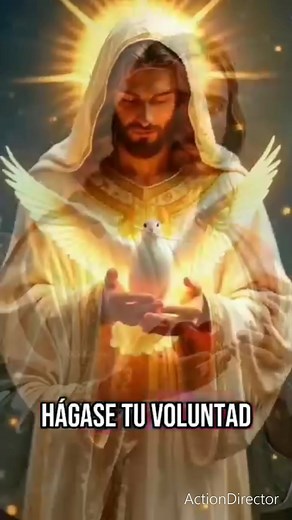 20K views · 1.7K reactions | Aveja Miope on Reels | Facebook