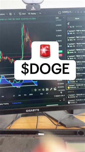 Dogecoin Weekly Chart Analysis – March 26 Insights