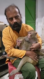 5.8M views · 10K reactions | श्वानों से घिरे असमर्थ वानर की सूचना पर...