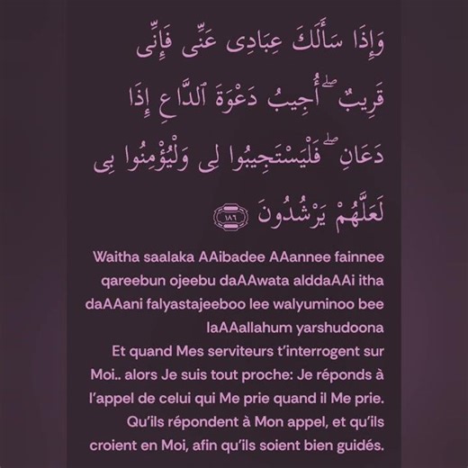 Sourate Al-Baqara verset 186.La voix de Cheikh Matroud. Qu'Allah le protège et le récompense amine🤲