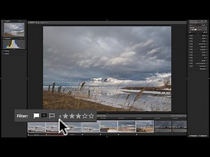 Alien Skin Exposure X4 - 3: Culling & Organization