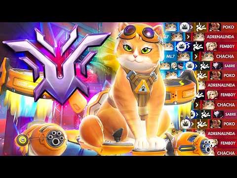 What a CHAMPION Jetpack Cat looks like in Overwatch