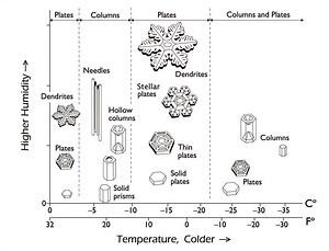 This Book is a Complete Guide to Snowflakes