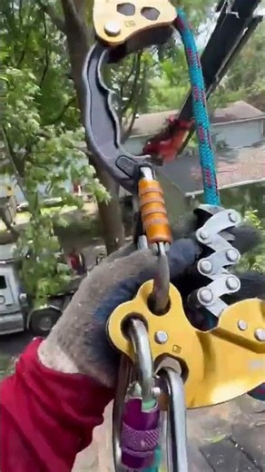 🌳🔥 Big tree? No problem! 🔥🌳 #atlanta #treeservice #treeremoval #treecutting #treework #landscaping