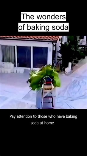 Tech tips to keep you ahead of the curve! 📊 #TechKnowHow #ReelTechAdvice #TechTipsAndTricks #ReelTechMasters #TechGuide #ReelTechNews #TechDaily #ReelTechUpdates #TechFocus #ReelTechJourney #TechInsightsDaily #ReelTechWorld #TechNews #ReelTechGuidance #TechSupport #ReelTechCommunity #TechExpertise #ReelTechInfoHub #TechDiscovery #ReelTechBuzz #TechTalk #ReelTechGeek #TechHubReels #ReelTechTools #TechEssentials #ReelTechGadgets #TechTipsDaily #ReelTechContentHub #TechLifestyle #ReelTechExpertsTi