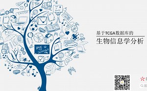 TCGA手把手培训