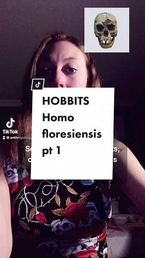 Real Hobbits: Exploring Homo Sapiens' Family in Anthropology