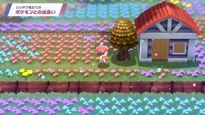 3K views · 81 reactions | Nuevo trailer de Brilliant Diamond y Shining Pearl. | Pokémon Puerto Rico | Facebook