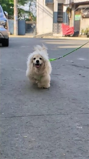 Sasuke Slow Mo Running 😍