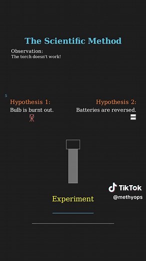 Scientific Method Explained in Biology Studies