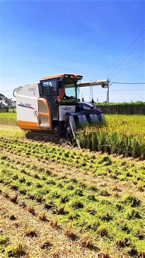 Iseki japan harvester machine 🔥 #shorts #iseki #combineharvester