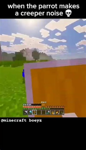 when the parrot make a creeper noise #minecraft #creeper #minecraftmemes #reelschallenge #minecraft boeyz | Minecraft Boyez