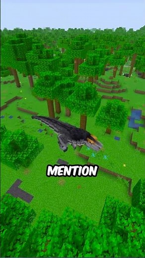 Do NOT Visit this Country on the Minecraft Earth SMP.. #minecraft #minecraftserver #smp