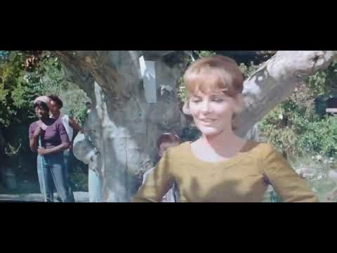 Finian's Rainbow (1968 film) scene with song "Look to the Rainbow"