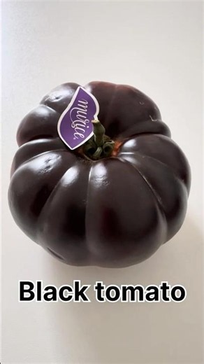 Black tomato plant