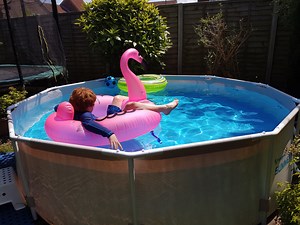 Pool Temperature Monitoring and Pump Control with Pi Zero W #piday #raspberrypi @Raspberry_Pi