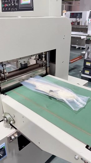 Fish meat vacuum packaging machine #packagingmachine #Pillow #meat #fish #foodfactory | Packaging Machinery