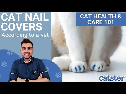 Everything you need to know about cat nail caps