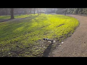 วันนี้ก็บภาพบรรยากาศในเมืองมาให้เบิ่งจ้า