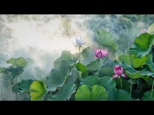 Musik Instrumen Suara Alam Free Copyright