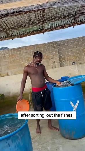 Stephen mega on TikTok