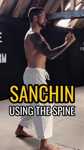 Details matter - a short clip from a recent tutorial on our Patreon. Here we are discussing the three opening Sanchin steps in Suparinpei and how the subtle flexion & extension of the spine is performed in conjunction with the breathing & movements of the arms. In the full tutorial we also get into what makes this section different to the standard Sanchin learnt at the very beginning of the system, in the case of Suparinpei revisiting foundational material with additional layers of complexity to