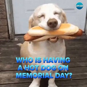 We'll take ours with mustard while watching the circus. NEVER KETCHUP! | AXS TV