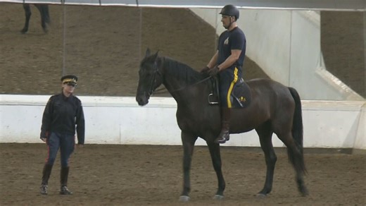 RCMP Musical Ride Open House