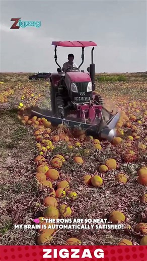 Genius Farming Tools for Efficient Crop Gathering