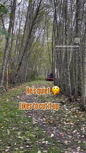 If you see the new guy, feel free to say  hi…or run for your life  He’s a quiet one. | Viking Landscape Solutions | Facebook