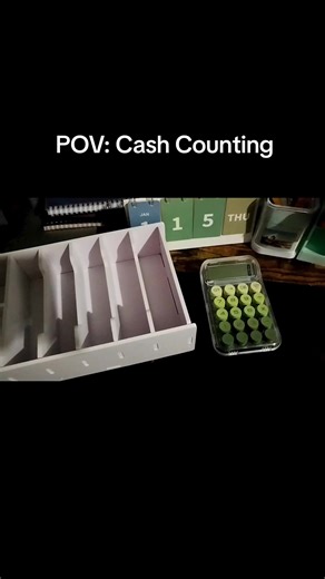 Cash Counting My January Salary Breakdown