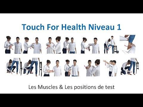 Les 14 tests musculaire du Touch For Health #1 en vidéos ( avec explications et anatomie)