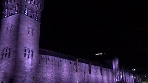 3.9K views · 83 reactions | This colourful new lighting system has...