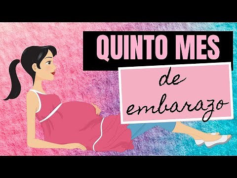 El quinto mes de embarazo | Signos y Síntomas | Desarrollo de tu bebé | Tú Bebé