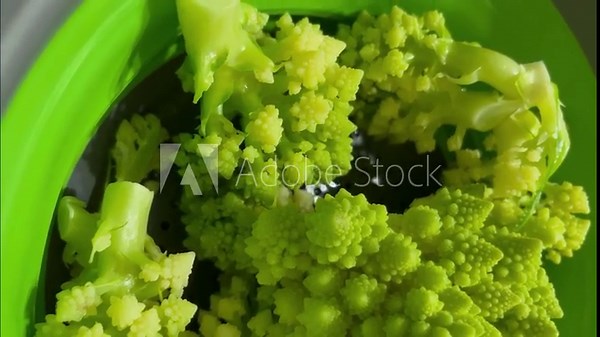 Romanesco broccoli (also known as broccolo romanesco, romanesque cauliflower, or simply romanesco) is done and put in the green sifter