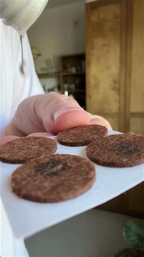 Maden in der Mülltonne: So wirst du sie mit 1 Zutat blitzschnell los