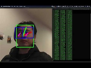 DepthAI (OpenCV-OAK) Gen2 Gaze Estimation