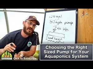 Sizing a Pump for Your Aquaponics or Hydroponics System