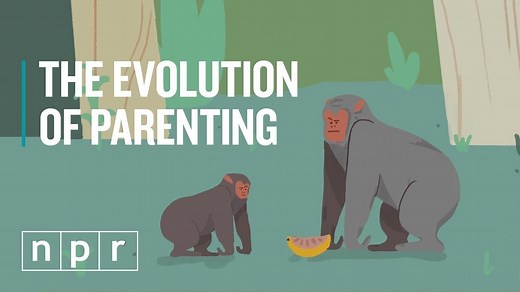 Animated History: The Evolution Of Parenting