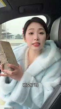 "Bricks" cure all dissent #sky-high bride price #sisters