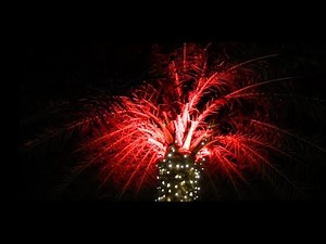 palm tree christmas decorations ➡️ trouver des idées de décoration