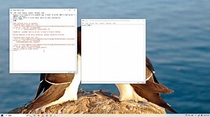 【Python常见报错处理】刚刚安装好的Python-IDLE新建文件无法运行怎么办？