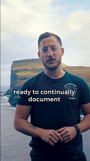 Two Years Ago Today - 1428 dolphins are brutally killed in the Faroe Islands