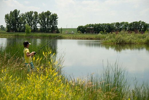 Summer Day Camp for 10-14 Year-Olds | CYO Outdoor Recreation