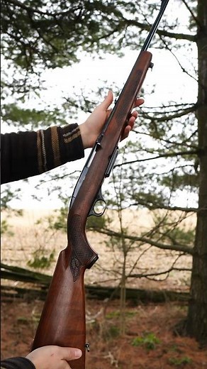 Winchester Model 100 chambered in .308