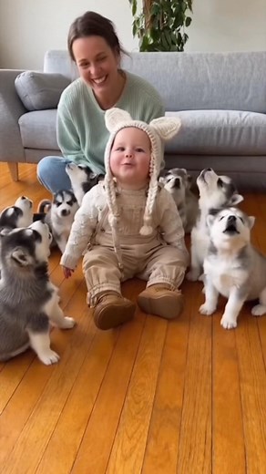 The Sweetest “Awoo” Moment You’ll See Today 🥺🐶👶#BabyAndPuppies#HuskyPups#AwooChallenge #adorably | Mazhar Sora