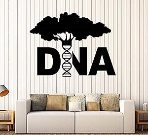 Amazing Home Decor-Large Vinyl Wall Decal DNA Tree Genetics Biology Molecule Science Stickers Large Decor 646Made in The USA Removable