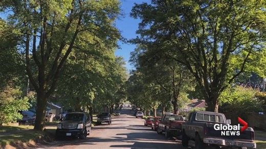 Former chief city planner says cities need to be much more proactive to beat the heat