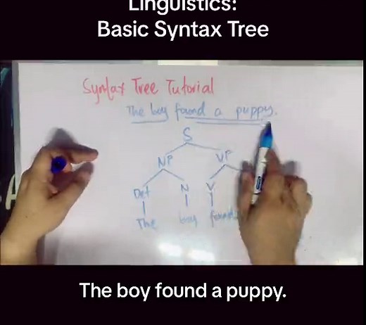 Understanding Syntax: A Beginner's Tutorial